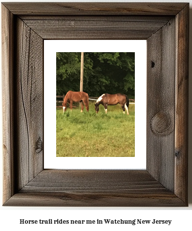 horse trail rides near me in Watchung, New Jersey